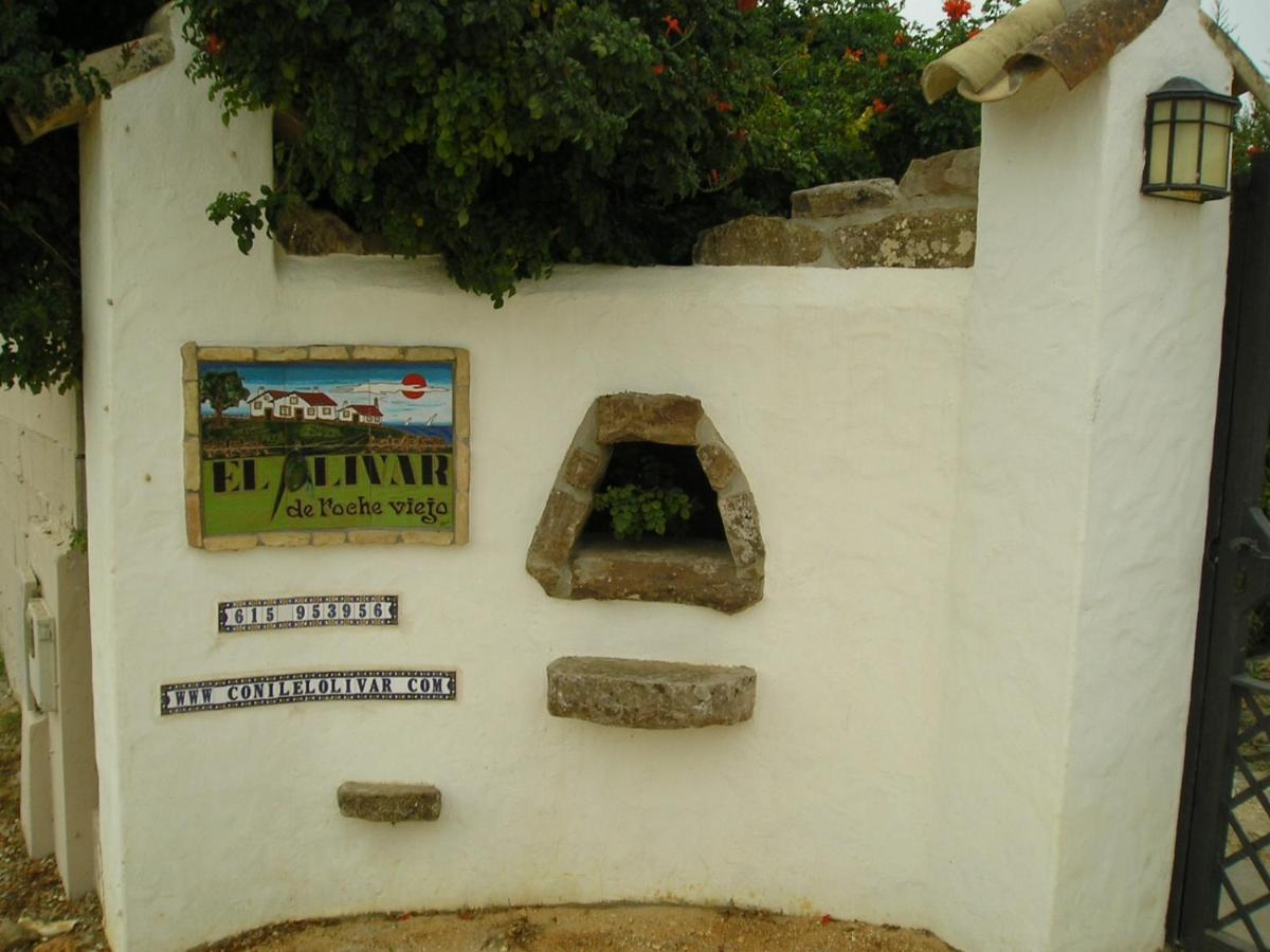 El Olivar De Roche Viejo Кониль-де-ла-Фронтера Экстерьер фото
